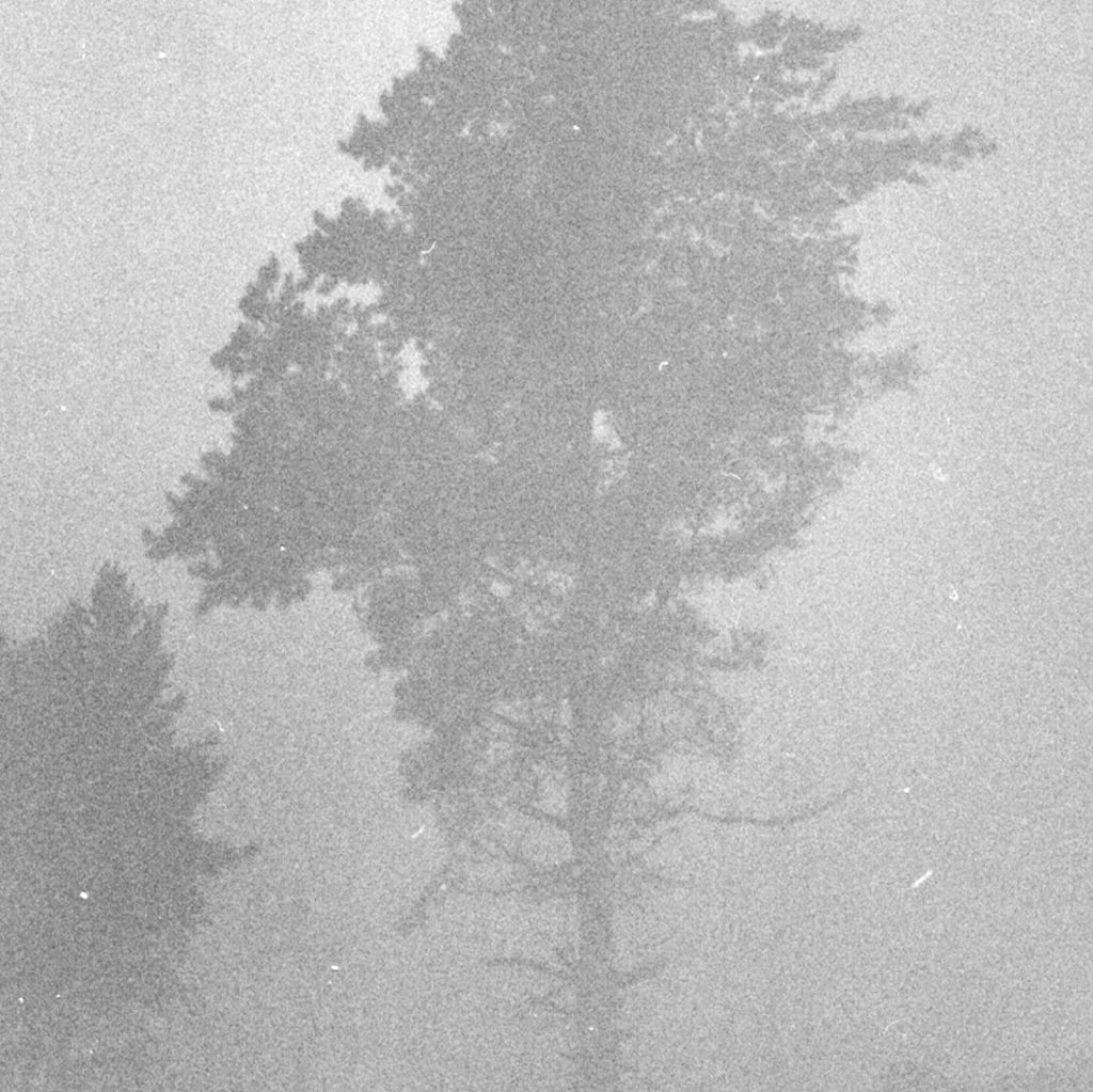 katrinamarta-rinke-60-80-cm-dissolving-landscapes-march-17-2026-1